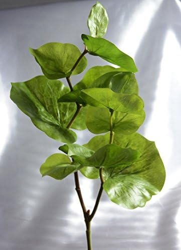 Leaf Plant Vine Bush for Home Accents and Decor (Set of 6)