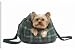 Canvas Prints of Yorkshire Terrier Dog from Ardea Wildlife Pets