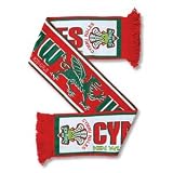 41Ht0CUJo3L. SL160  Wales Rugby Wide Scarf   White One Size Reviews