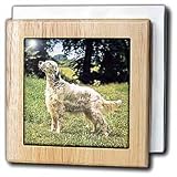 Review 3dRose LLC  / English Setter - 6 Inch Tile Napkin Holder