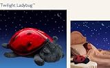 Cloud b Twilight Lady Bug - Constellation Night Light