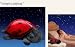 Cloud b Twilight Lady Bug - Constellation Night Light