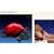 Cloud B Twilight Ladybug