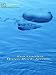 Zen Garden-Water, Rock, Stream