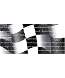 Window Graphic - 30x65 Checkered Flag
