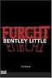 Furcht: Spannungs-Roman