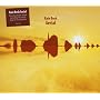 Aerial ~ Kate Bush