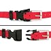41HtNwjAvSL. SL75  Petsafe PBC 302 Bark Control Training System