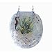 Polyresin Toilet Seat with Sea Horse Design