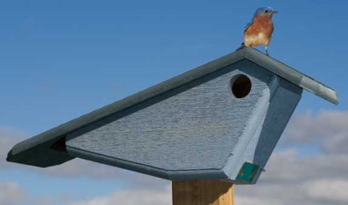 Blue Bluebird House 21 9 high