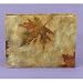 Maple Leaf Guest Book