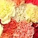 Send Fresh Cut Bulk Flowers - 200 Carnations Wholesale