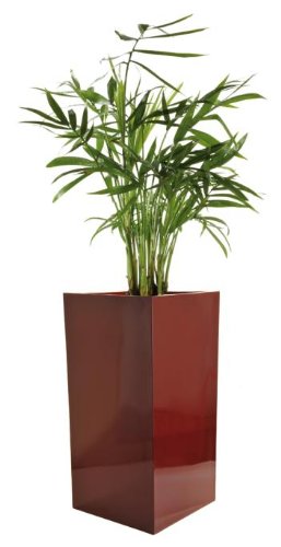 Blumenkübel Pflanzkübel Pflanzgefäße