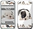 Lazy Days (Dogs) Design Protective Skin Decal Cover Faceplate for Apple iPhone (2G)