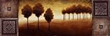IMAGE OF Warm Horizon II HIGH QUALITY MUSEUM WRAP CANVAS Print Michael Marcon 36x12
