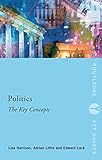 Politics : the key concepts