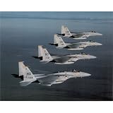 F-15 Eagles (In Air) Art Poster Print - 13x19