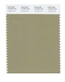 Pantone 16-0205 TCX Smart Color Swatch Card, Vintage Khaki