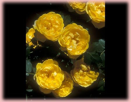 image link -  - B002TOVD6K