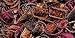 Trellis Yarn-Autumn Leaves (Gold, Grns, Brwns, Turq)