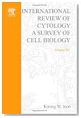 International Review Of Cytology, Volume 241: A Survey of Cell Biology (International Review of Cell and Molecular Biology) (Vol 241)