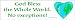 God Bless the Whole World No Exceptions. Bumper Sticker