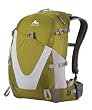Gregory Z 22 Technical Daypack