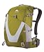Gregory Z 22 Technical Daypack