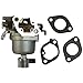 B1699807 699807 New Carburetor made for Several Briggs & Stratton Models
