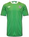 Northern Ireland 11/12 Home SS Football Shirt