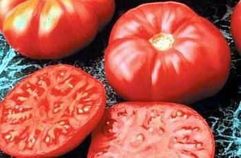 Caspian Pink Tomato 35 Seeds - Heirloom