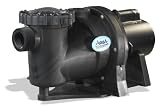 Aquapro Apex Series Pool and Spa Pump, 2-Speed, 1HP Uprated Energy Efficient
