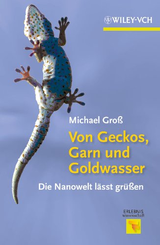 Von Geckos, Garn und Goldwasser: Die Nanowelt lässt grüßen (Erlebnis Wissenschaft) (German Edition)