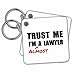 Trust me Im almost a Lawyer - fun Law humor - Key Chains, 2.25 x 2.25 inches, set of 2 (kc_195612_1)