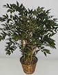45" Real Wood Lion Bamboo Tree