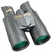 Steiner 256 10 x 56 Predator C5 Binocular