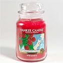 22OZ NEW ZEALAND WILD BERRY YANKEE CANDLE