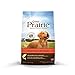 Nature's Variety Prairie Salmon & Brown Rice Recipe Dry Dog Food, 4.5 lb. Bag