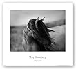 Fierce Grace by Tony Stromberg 24"x18" Art Print Poster