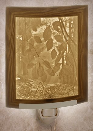 Secret Path Porcelain Garden Lithophane Night Light
