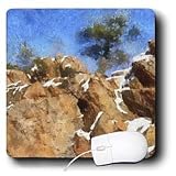 Boehm Digital Paint Mountains - Colorado Mountains Rocky Pine - Mouse Pads