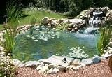 Water Garden Kits