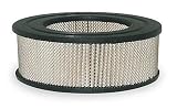 Air Filter, Element/Compressor Breather BALDWIN FILTERS PA1704