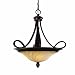 Golden Lighting 8106-3P CDB Torbellino Pendant Bowl, Cordoban Bronze Finish