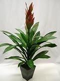 50cm Potted Artificial Silk Guzmania Magnifica Plant ~ Office Plant with Pot ~ Home & Conservatory Decoration