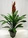 Outdoor Living : 50cm Potted Artificial Silk Guzmania Magnifica Plant ~ Office Plant with Pot ~ Home & Conservatory Decoration