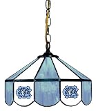 14 Swag Hanging Lamp Light University of North Carolina UNC Tar Heels - Free Shipping