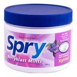 Xlear Spry Berryblast Mints, 240 Pieces