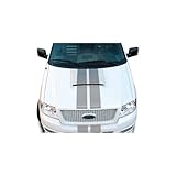 IMAGE OF F-150 Hood Scoop For Ford ~ F-150 Pickup ~ 2004-2007 ~ Black ~