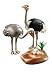 PLAYMOBIL Ostriches with Nest Building Kit